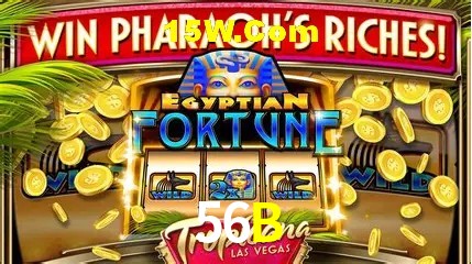 56B - cassino ao vivo